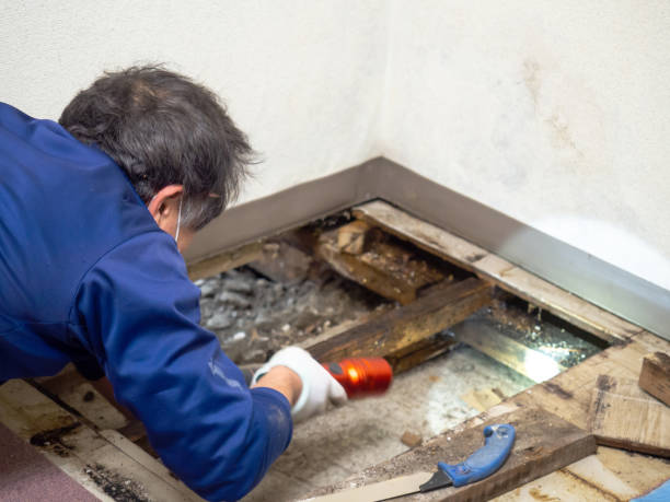 Best Crawl Space Mold Removal  in Oshkosh, WI