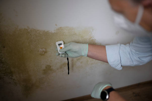 Best Residential Mold Removal  in Oshkosh, WI