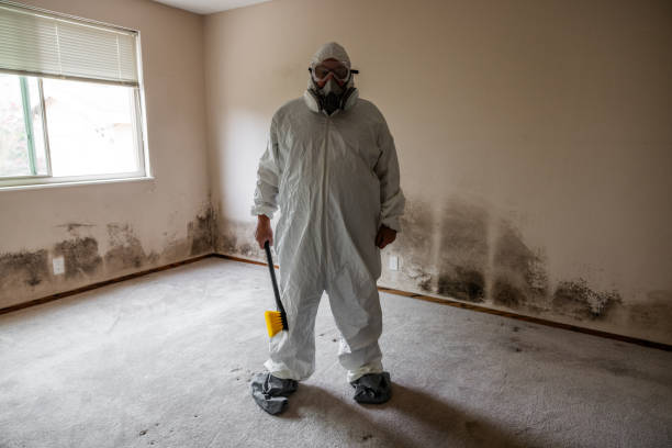 Best Certified Mold Removal  in Oshkosh, WI